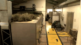 Jambi Kiwa's processing factory in Riobamba. The entire process of plant's growing and transformation is natural. The products are made on the basis of Andean medicine recipes.